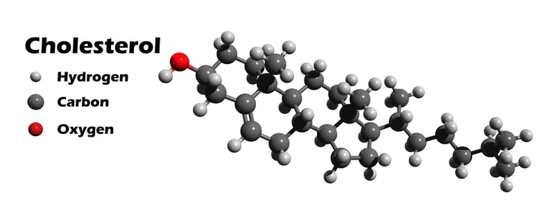 cholesterol