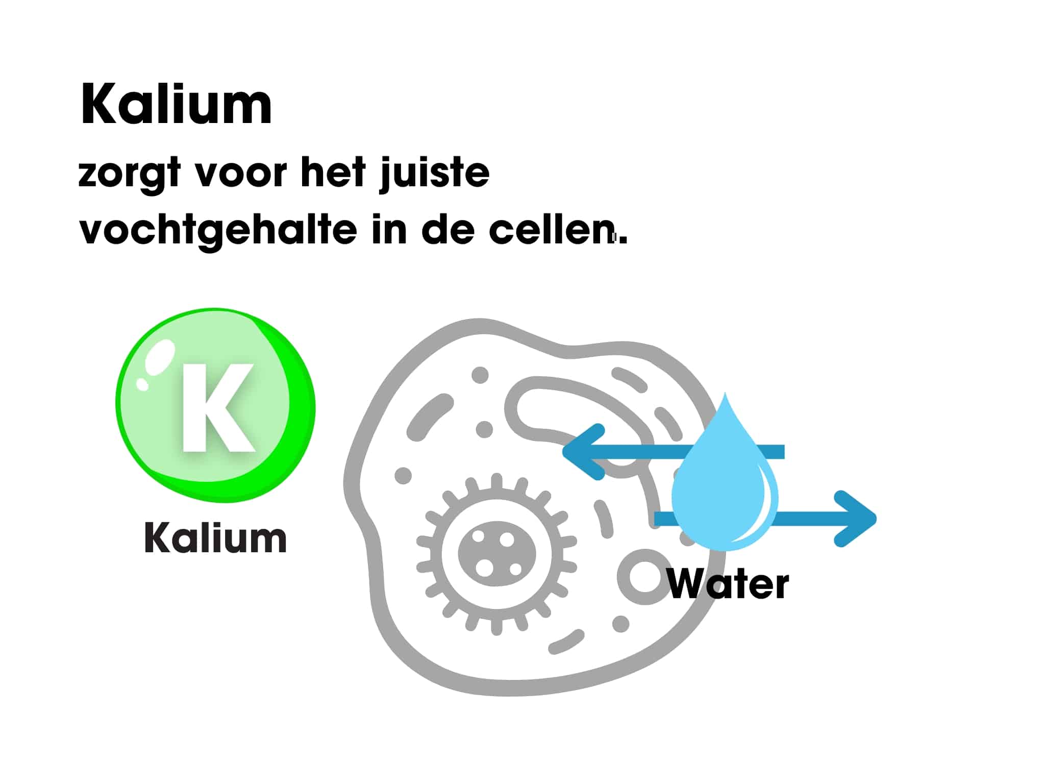 kalium
