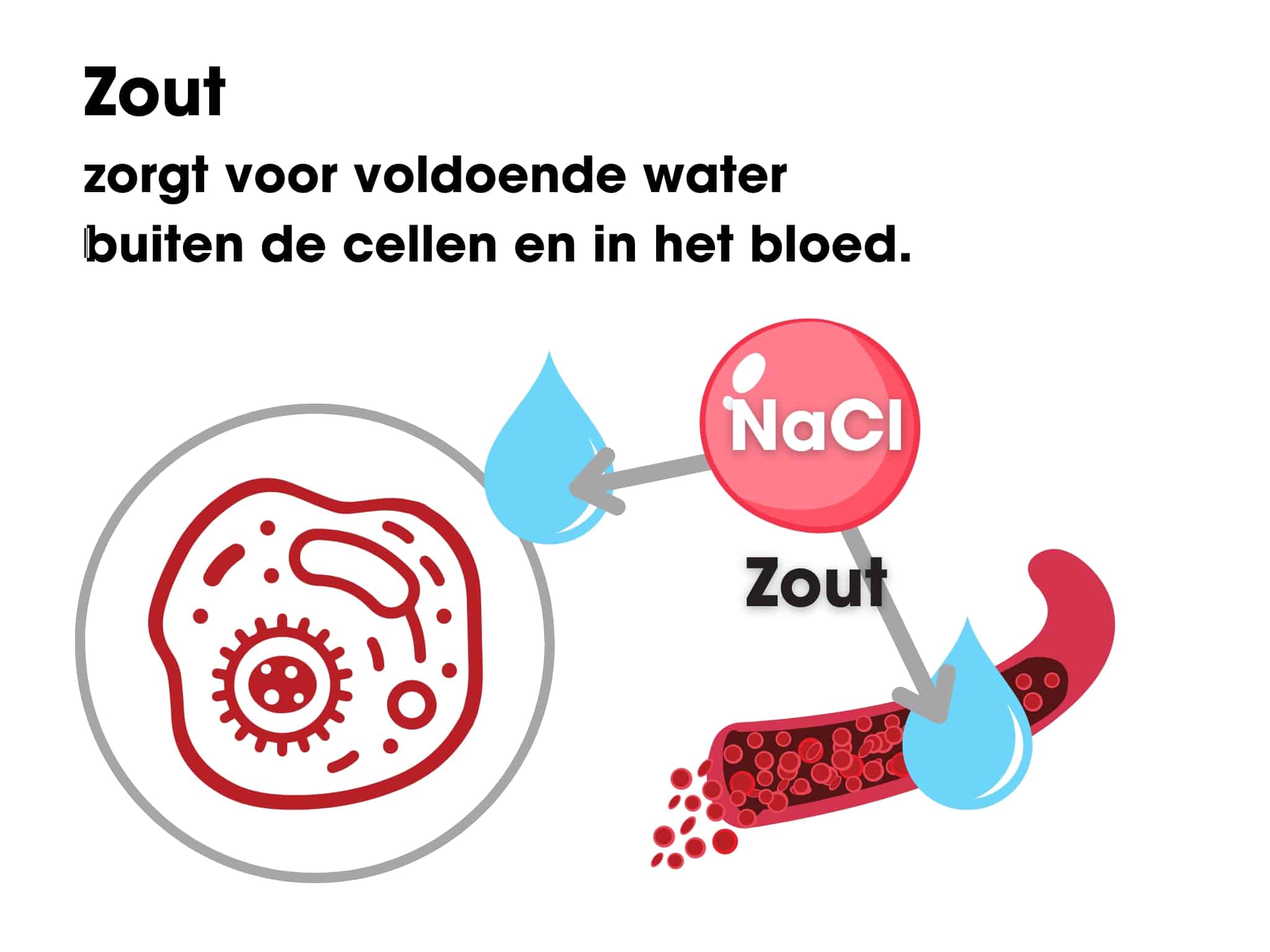 zout