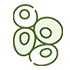 i2