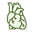 Hart