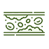 Triglyceridenspiegel